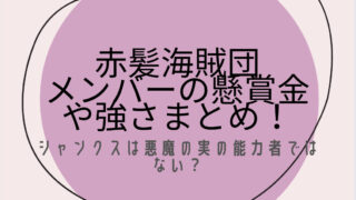 赤髪海賊団　シャンクス　懸賞金