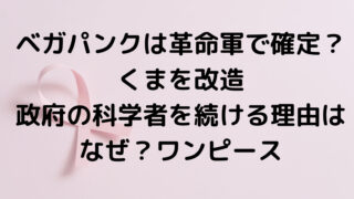 ベガパンクは革命軍で確定？くまを改造・政府の科学者を続ける理由はなぜ？ワンピース