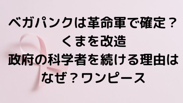 ベガパンクは革命軍で確定？くまを改造・政府の科学者を続ける理由はなぜ？ワンピース